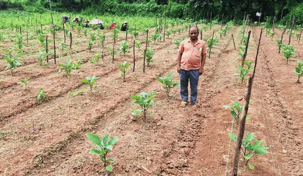 सफलता की इबारत