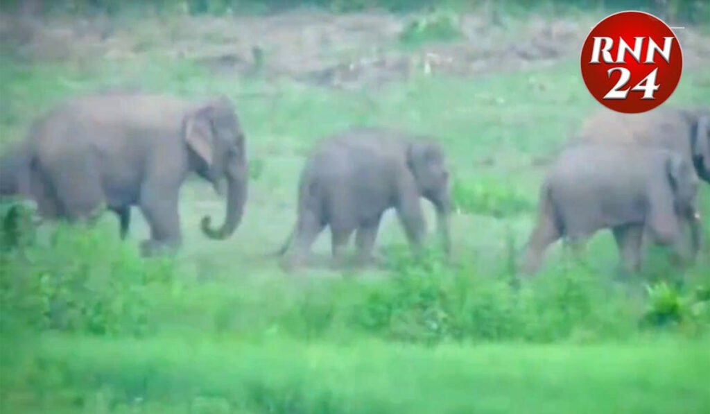 जंगलों में लगेगा एआई कैमरा