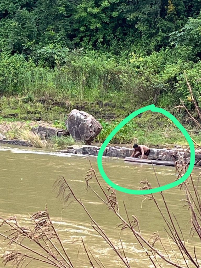 पुष्पा स्टाइल