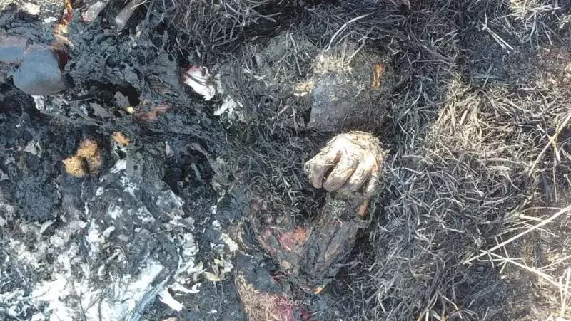 दुर्ग में मिली जली लाश से हड़कंप…पुलिस ने उठाए ये बड़े कदम, जानें आपके इलाके में सुरक्षा का हाल