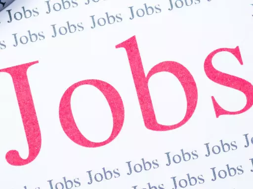 आज नौकरी पाने का सुनहरा मौका, प्लेसमेंट कैंप में 100+ पदों पर भर्ती! 8वीं/10वीं पास भी करें अप्लाई, तुरंत जानें सैलरी और डिटेल्स