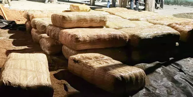 पुलिस की बड़ी कार्रवाई: 6 करोड़ का गांजा जब्त, तीन अंतरराज्यीय तस्कर गिरफ्तार