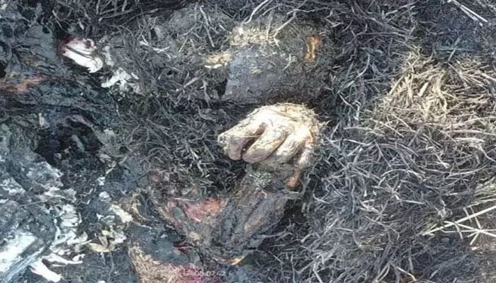 दुर्ग में दिल दहला देने वाली वारदात: नहर किनारे जली हुई युवती की लाश मिलने से इलाके में सनसनी जली हुई युवती की लाश