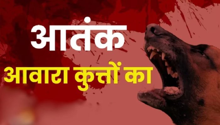 आवारा कुत्तों ने मासूम बच्ची पर हमला किया, हालत गंभीर