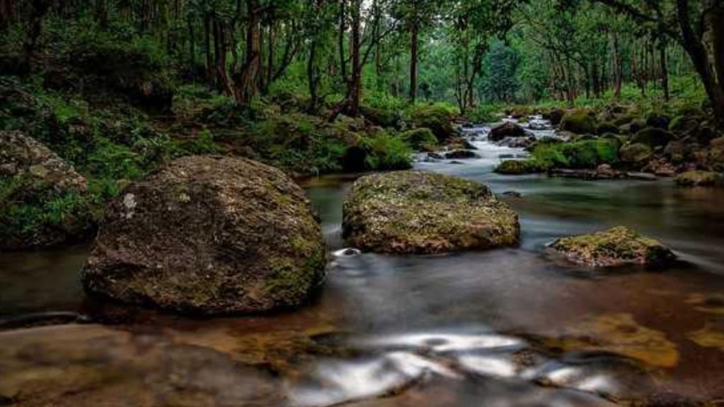 New Year 2025: छत्तीसगढ़ की ये खूबसूरत जगह दे रही है बड़े हिल स्टेशंस को मात, वो भी आपके बजट में