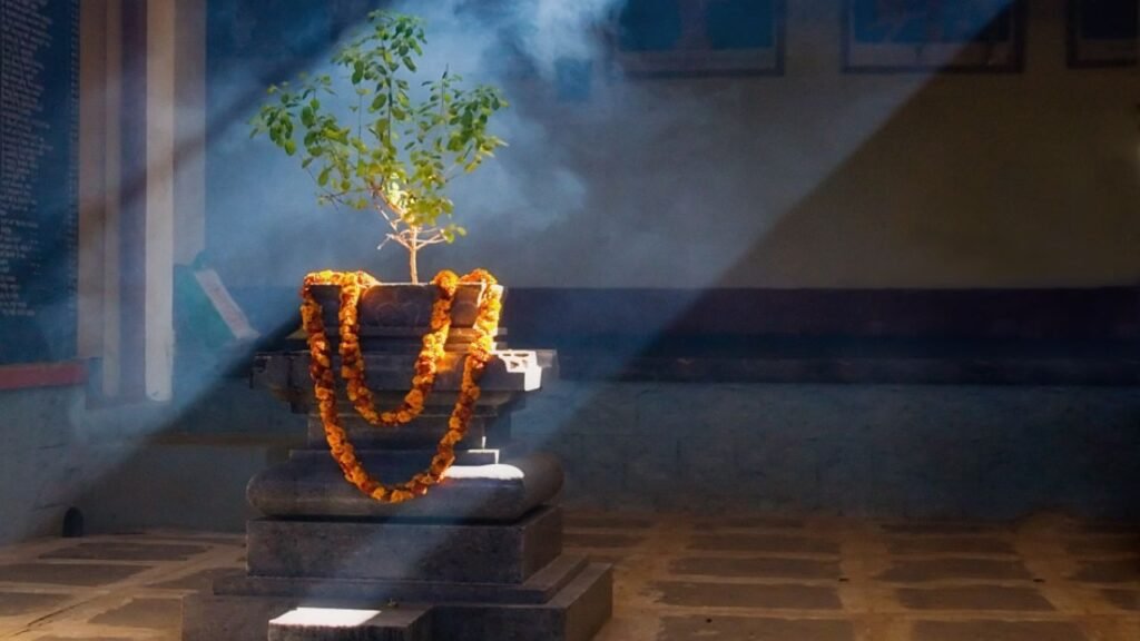 तुलसी के चमत्कारिक उपाय…25 दिसंबर को तुलसी पूजन दिवस पर करें ये काम, हर मनोकामना होगी पूरी!