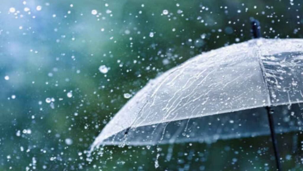 CG Weather Update: छत्तीसगढ़ में बरसेंगे बादल! IMD ने इन जिलों के लिए जारी किया अलर्ट CG Weather Update: छत्तीसगढ़ में बरसेंगे बादल! IMD ने इन जिलों के लिए जारी किया अलर्ट