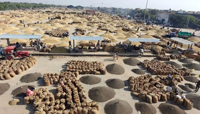  सत्यापन के दौरान 735 क्विंटल धान की कमी पाई गई।