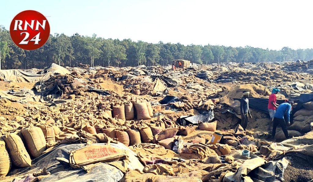 छत्तीसगढ़ में धान खरीदी