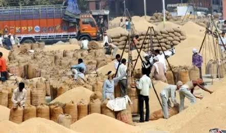 धान खरीदी पर सीएम साय का कांग्रेस पर तंज कहा—कांग्रेस मुद्दाविहीन है, अधिकारी किसानों के हित में सक्रिय