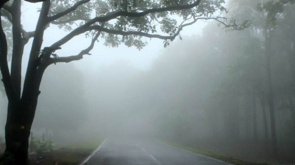 Weather Update: छत्तीसगढ़ के 10 से ज्यादा जिलों में शीतलहर की चेतावनी, मौसम विभाग ने जारी किया ‘कोल्ड वेव’ अलर्ट