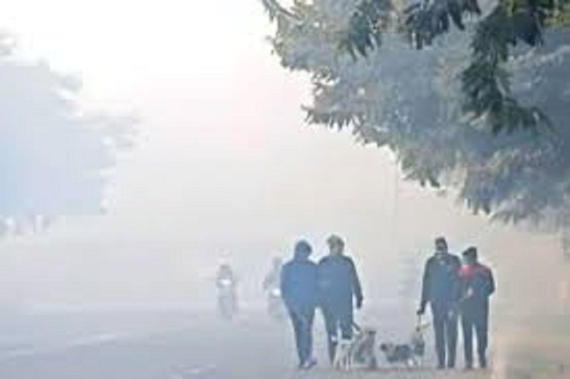 छत्तीसगढ़ में बदला मौसम: ठंड बढ़ी, कोहरा और हल्की बारिश के आसार