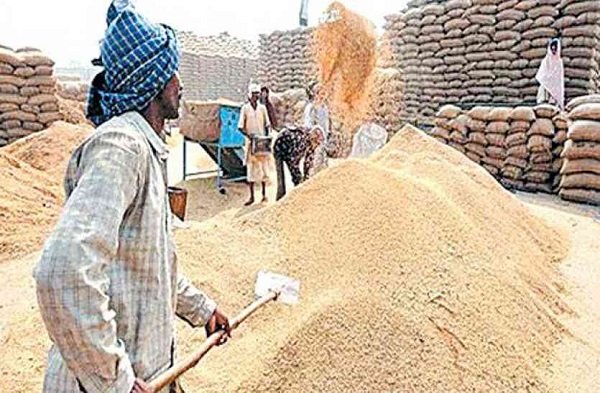 छत्तीसगढ़ में धान खरीदी का अंतिम दिन आज, 10 जनवरी के बाद टोकन कटाने वाले किसान होंगे पात्र