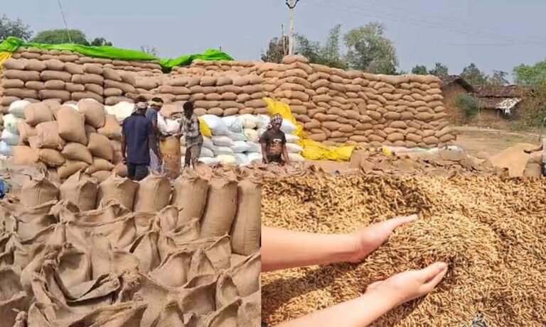 छत्तीसगढ़ में धान पर रार छत्तीसगढ़ में धान पर रार