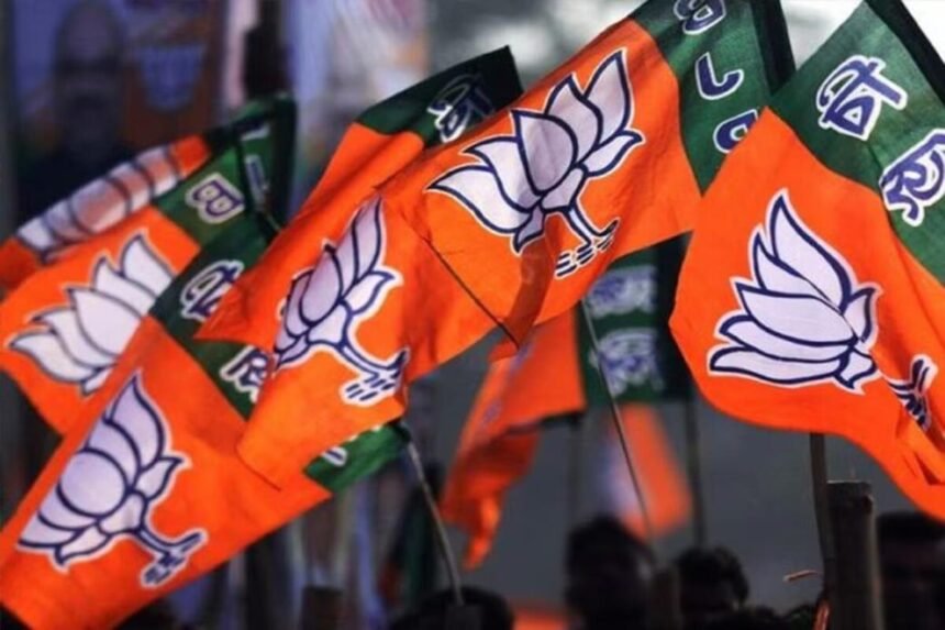 BREAKING : छत्तीसगढ़ भाजपा ने की प्रदेश कार्यसमिति की घोषणा, CM साय समेत 84 नेताओं के नाम शामिल, 25 विशेष आमंत्रित सदस्यों की भी नियुक्ति