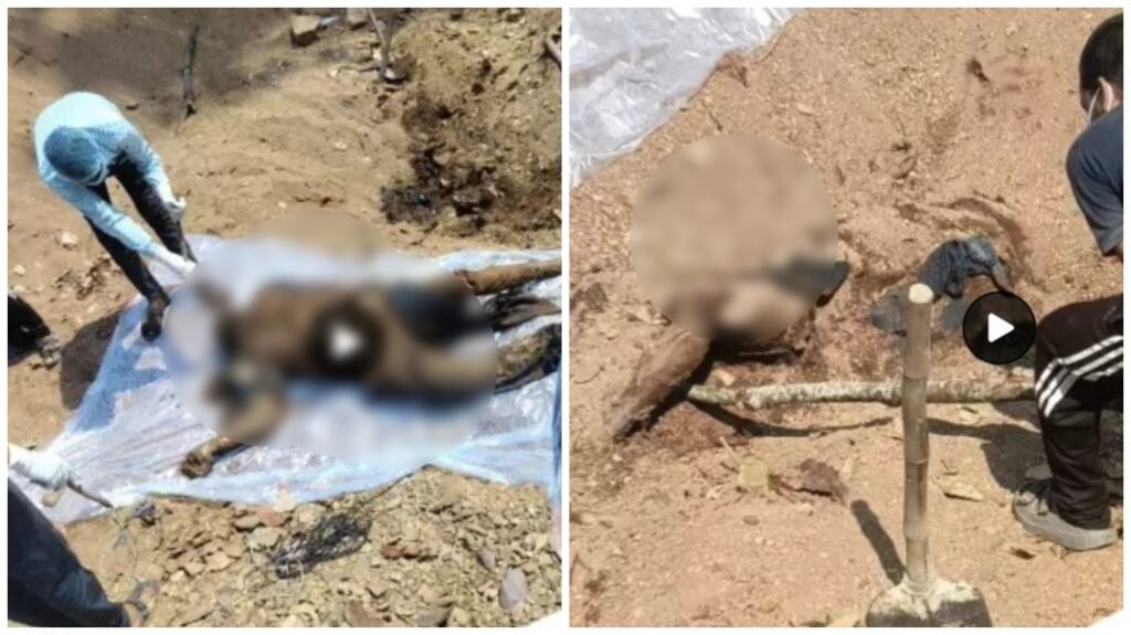 Property Dispute: Mungeli Murder Shocks the Region! Brother Turns Killer Over Property Worth ₹4 Crore; Body Buried in a Forest 60 KM Away—Murder Mystery Solved After 8 Days.