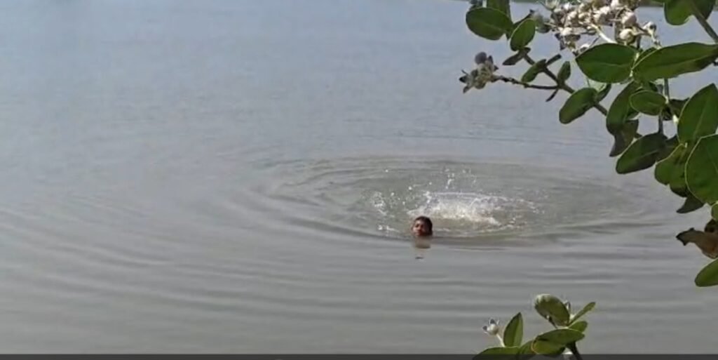 Gariaband Water Release : गरियाबंद में गर्मी से राहत के लिए प्रशासन का एक्शन…! 30+ तालाबों में भरा पानी…राजिम त्रिवेणी संगम तक पहुंचा जल…यहां देखें बैक 2 बैक VIDEO Gariaband Water Release: Administration Takes Action to Provide Relief from the Heat in Gariaband! Water Fills Over 30 Ponds... Flow Reaches the Rajim Triveni Sangam... Watch Back-to-Back Videos Here.