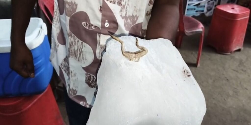 Health Alert: Uproar at Korba Chaupati! Frog Found in Ice Used for Juices—Video Goes Viral, Causing a Commotion.