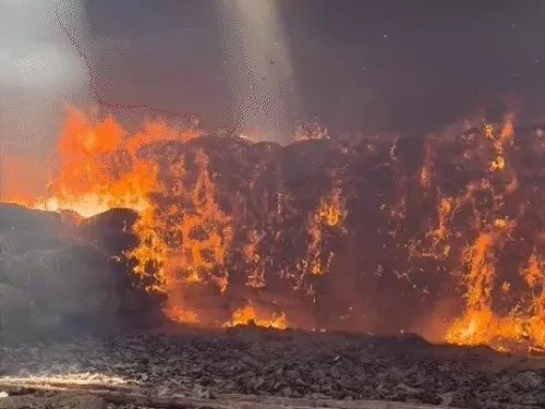 बस्तर के सरकारी तेंदूपत्ता गोदाम में भीषण आग, 1 हजार बोरे जलकर राख