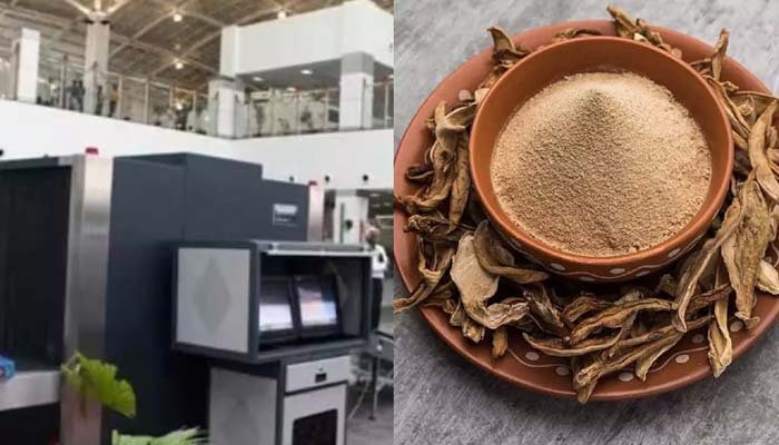एयरपोर्ट की बड़ी लापरवाही: अमचूर पाउडर को बताया ड्रग्स, बेगुनाह इंजीनियर 57 दिन रहा जेल में एयरपोर्ट की बड़ी लापरवाही