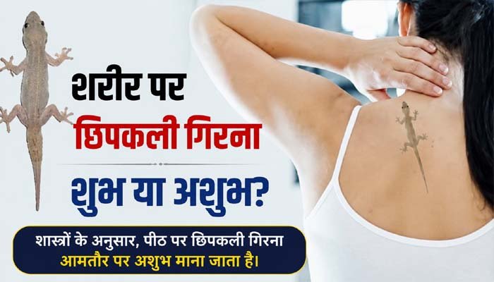 शरीर पर छिपकली गिरना शुभ या अशुभ? जानिए क्या कहता है सामुद्रिक शास्त्र शरीर पर छिपकली गिरना शुभ या अशुभ