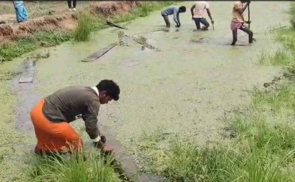Timber Smuggling: Where smugglers hid precious timber... Forest Department combed through every single hideout... You'll be amazed at what they found (VIDEO).