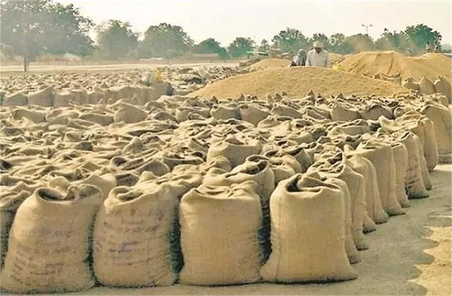 Durg Paddy Scam : धान घोटाले से मचा हड़कंप…! दुर्ग में 27,900 क्विंटल धान गायब…कलेक्टर का बड़ा एक्शन…4 दिन में पैसा जमा नहीं किया तो होगी FIR Durg Paddy Scam: Uproar over paddy scam! 27,900 quintals of paddy missing in Durg... Collector takes major action... FIR to be lodged if money is not deposited within 4 days.