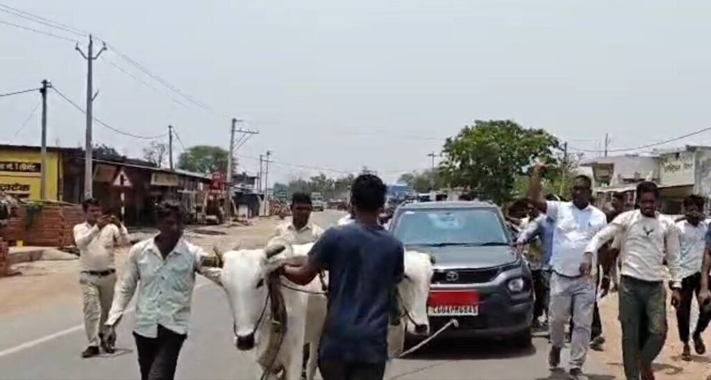 Petrol Pump : बलौदाबाजार में अनोखा विरोध…! जिला पंचायत सदस्य को डीजल नहीं मिला तो बैलों से कार खिंचवाकर पेट्रोल पंप तक पहुंचाया…देखें VIDEO Petrol Pump: A unique protest in Balodabazar! When a Zila Panchayat member was denied diesel, he had his car towed by bullocks to the petrol pump... Watch the VIDEO.