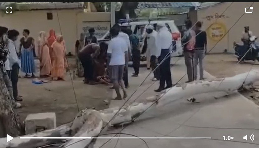 Thunderstorm : एमसीबी में तेज आंधी का कहर…! रेलवे कॉलोनी में विशाल पेड़ गिरा…महिला गंभीर यहां देखें VIDEO Thunderstorm: Havoc caused by a fierce storm in MCB! Massive tree falls in Railway Colony; woman critically injured—watch the video here.