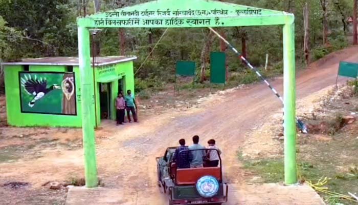 माओवाद की पहचान से इको टूरिज्म तक: गरियाबंद के कुल्हाड़ीघाट में हॉर्नबिल सफारी बनी नई पहचान MAOVAD KE GADH ME HORNBILL SAFARI