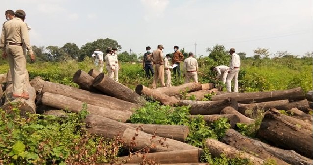 Khair Wood Smuggling : आधी रात वन विभाग का बड़ा छापा…! मनीष अग्रवाल के गोदाम से 2 ट्रक खैर लकड़ी जब्त…गोदाम सील…करोड़ों के अवैध कारोबार की जांच शुरू Khair Wood Smuggling: Forest Department conducts major midnight raid! Two truckloads of Khair wood seized from Manish Agarwal's warehouse; warehouse sealed; investigation into an illegal trade worth crores launched.