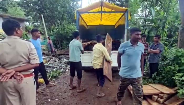 छत्तीसगढ़-ओडिशा सीमा पर लकड़ी तस्करी के खिलाफ बड़ी कार्रवाई, 3 से 4 घनमीटर सागौन-साल की लकड़ी जब्त लकड़ी तस्करी