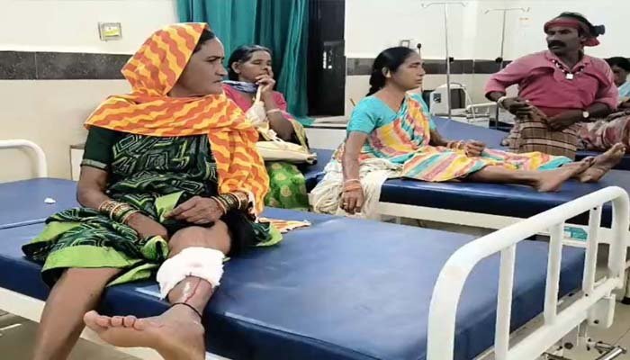 डौंडीलोहारा में आवारा कुत्ते का आतंक, 13 लोगों को काटा; 3 की हालत गंभीर डौंडीलोहारा में आवारा कुत्ते का आतंक