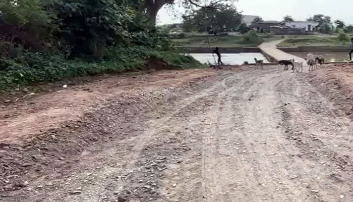 तीन महीने में उखड़ गई 43 लाख की सड़क, विभाग ने चलाया बुलडोजर; ठेकेदार को दोबारा निर्माण के निर्देश तीन महीने में उखड़ गई 43 लाख की सड़क