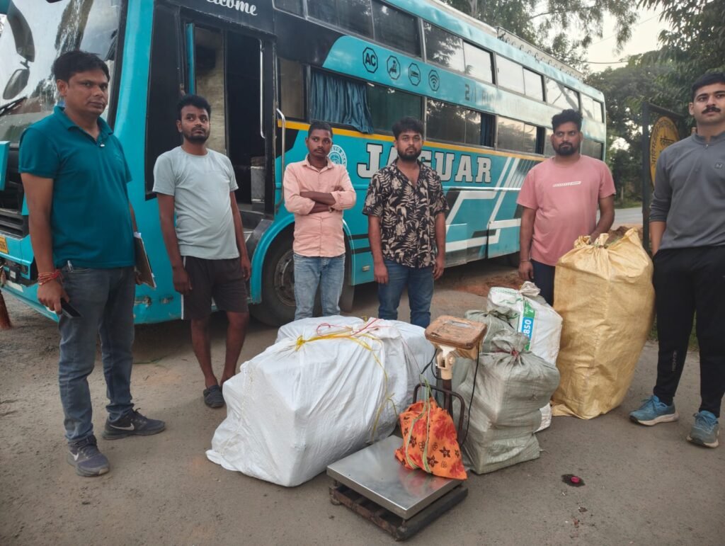 गांजा तस्करी का बड़ा खुलासा, दो बसों से 91.5 किलो गांजा जब्त; 3 गिरफ्तार