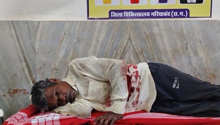 सरईपानी जंगल में मादा भालू और दो शावकों का बुजुर्ग पर हमला, गंभीर हालत में रायपुर रेफर जंगल में मादा भालू और दो शावकों का बुजुर्ग पर हमला