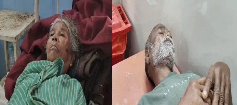 तेंदुए का आतंक, घर में घुसकर 3 लोगों पर हमला; 2 की हालत गंभीर, गांव में दहशत तेंदुए का आतंक, घर में घुसकर 3 लोगों पर हमला; 2 की हालत गंभीर, गांव में दहशत