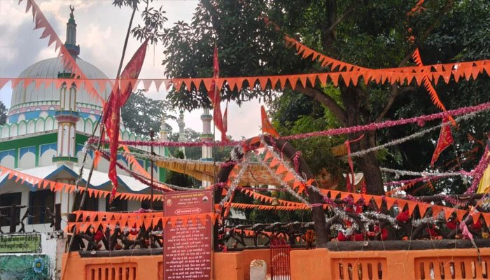 नाथल दाई मंदिर निर्माण के बीच मजार को लेकर विवाद, जांच की उठी मांग नाथल दाई मंदिर निर्माण