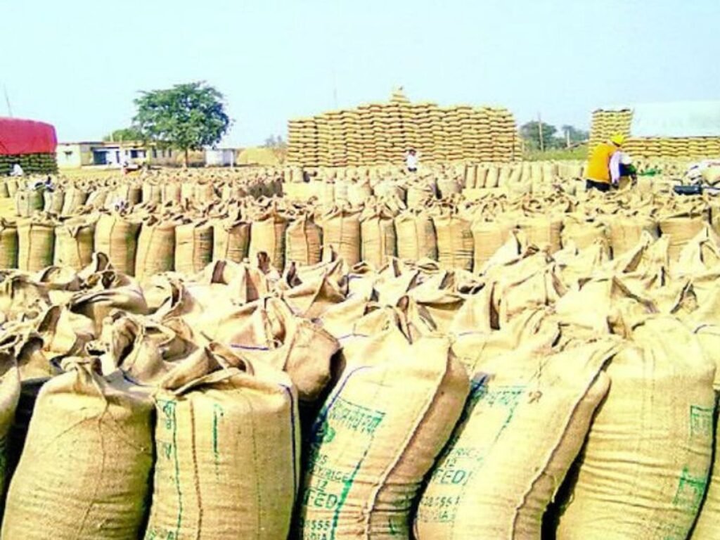 15 नवम्बर से शुरू होगी धान खरीदी, 27.50 लाख से अधिक किसानों से ₹3100 प्रति क्विंटल की दर से खरीदा जाएगा धान